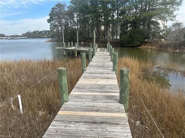 dock area featuring a water view