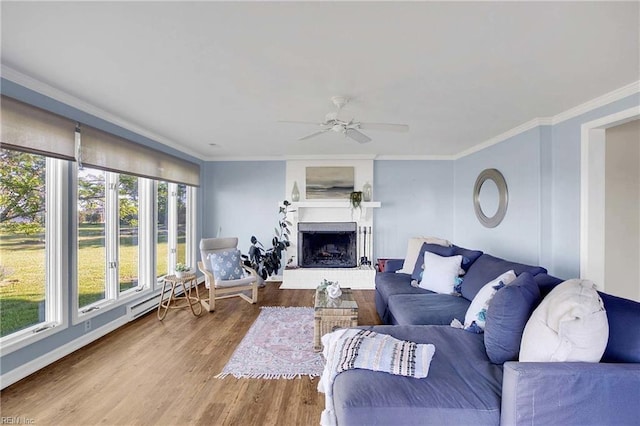 living area featuring ornamental molding, ceiling fan, wood finished floors, and a fireplace