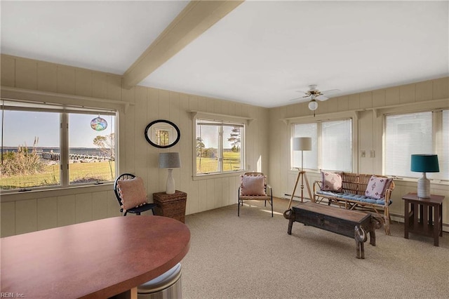 living room featuring carpet floors, ceiling fan, wood walls, and beam ceiling