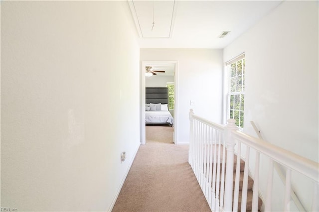 corridor with an upstairs landing, attic access, light colored carpet, and visible vents