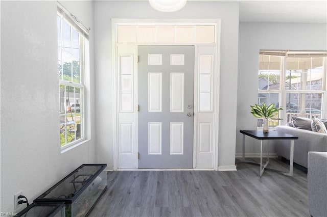 entryway featuring plenty of natural light and wood finished floors