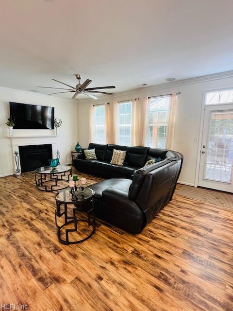 living area featuring crown molding, ceiling fan, wood finished floors, and a fireplace