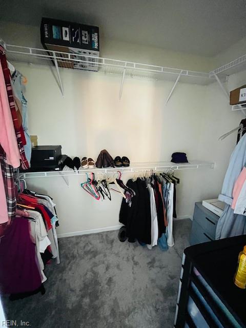 spacious closet featuring carpet floors