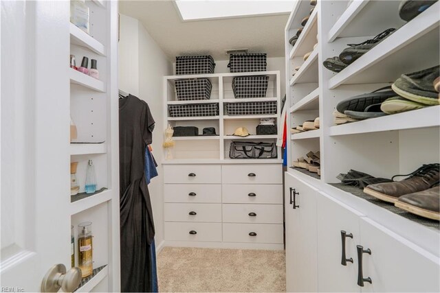 walk in closet with carpet