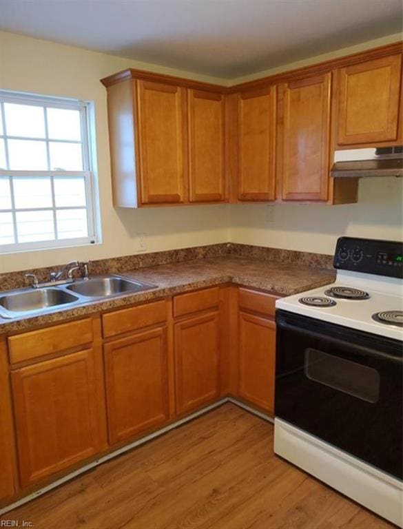 kitchen featuring electric stove, a sink, brown cabinets, under cabinet range hood, and light wood-style floors