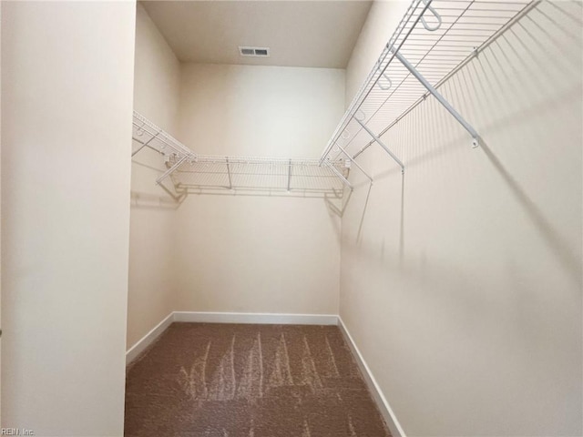 152 Mcpherson Rd, South Mills, NC 27976 - spacious closet with carpet and visible vents