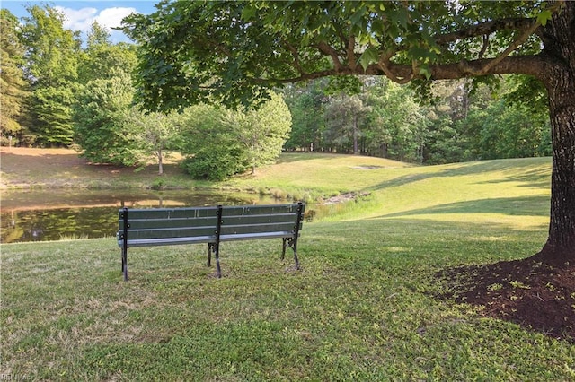 view of community with a yard
