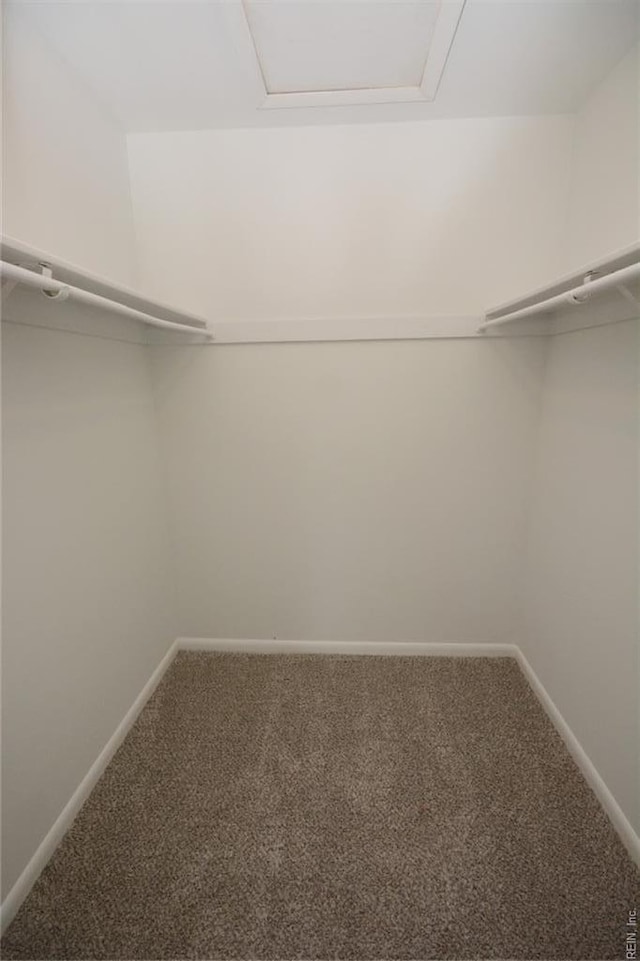 walk in closet with carpet and attic access