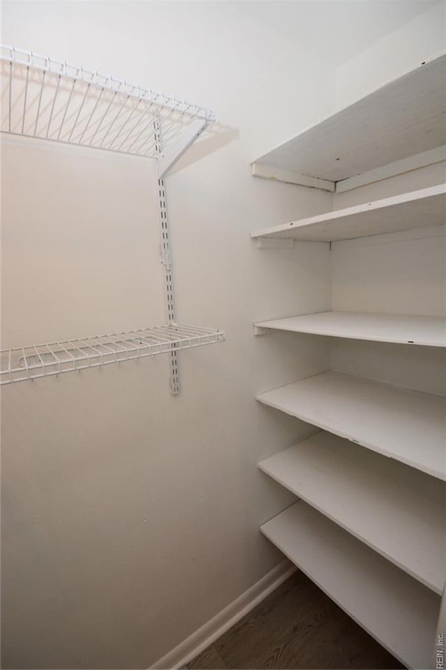 walk in closet featuring dark wood-style floors