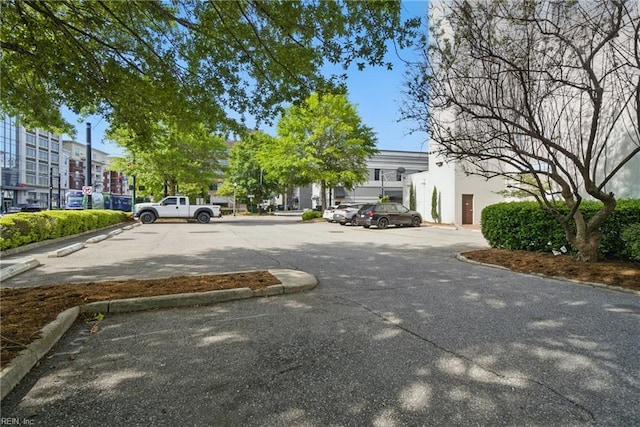 view of street featuring curbs