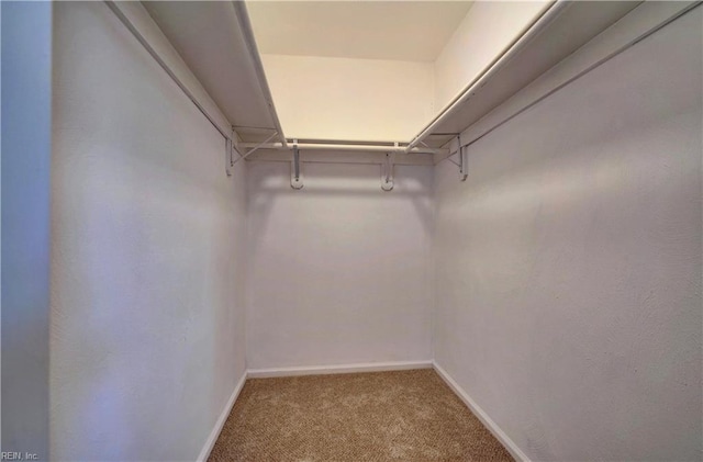 walk in closet with carpet flooring