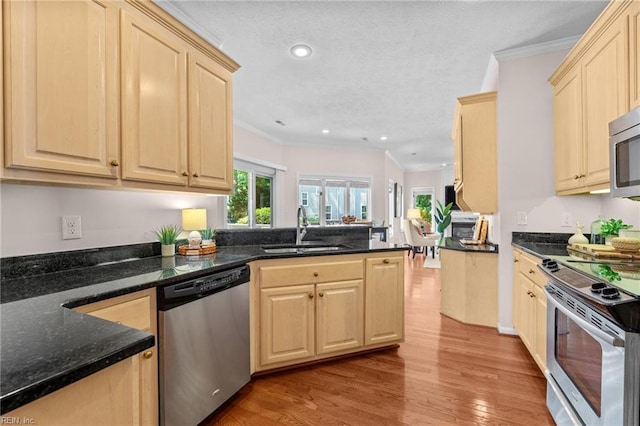 kitchen featuring appliances with stainless steel finishes, ornamental molding, a sink, and light brown cabinets