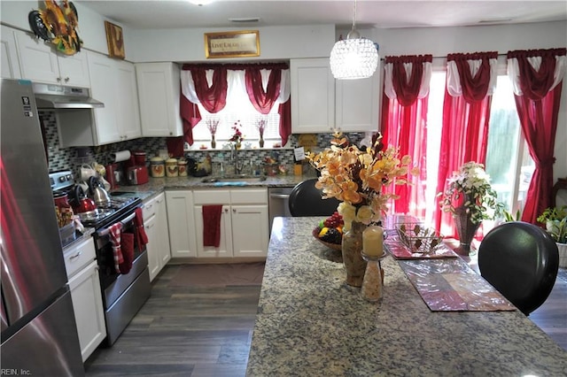 820 Pine Tree Ct, Newport News, VA 23608 - kitchen featuring white cabinets, appliances with stainless steel finishes, a sink, decorative backsplash, and under cabinet range hood