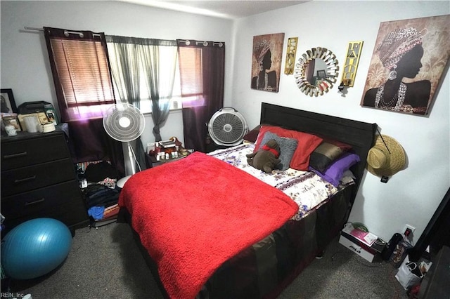 820 Pine Tree Ct, Newport News, VA 23608 - bedroom with carpet floors