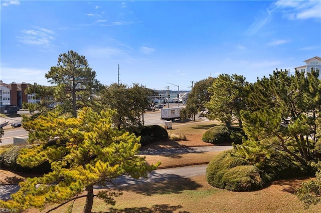 view of surrounding community
