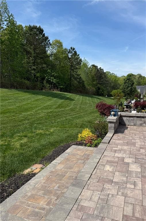 view of yard featuring a patio area