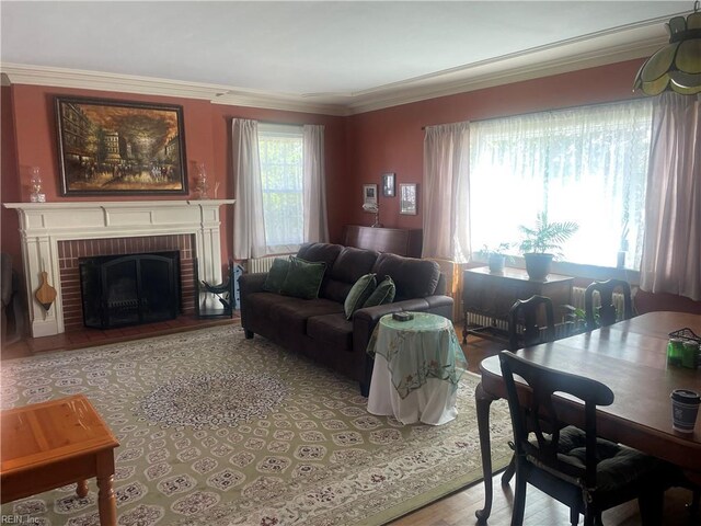 living area featuring ornamental molding, wood finished floors, and a fireplace