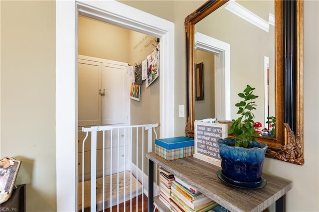 view of hallway
