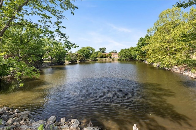 view of water feature