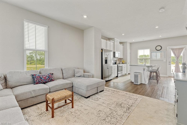 living area featuring recessed lighting and wood finished floors