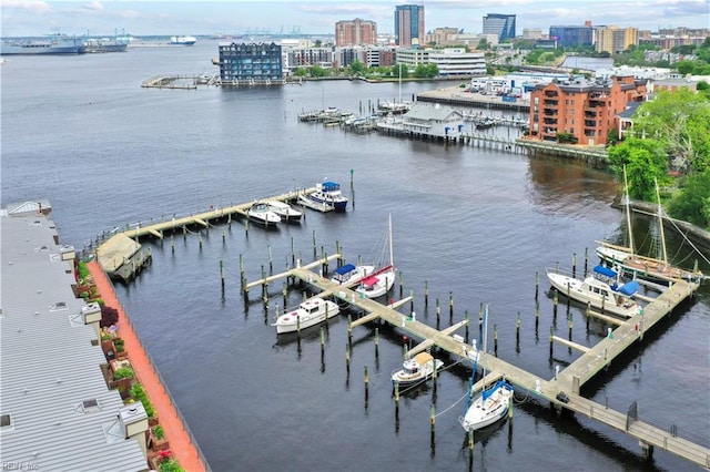 255 College Cross Unit 87, Norfolk, VA 23510 - dock area with a water view, boat lift, and a city view