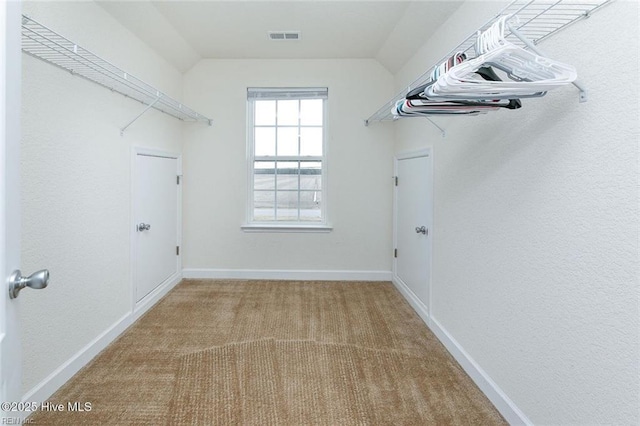 spacious closet featuring visible vents and carpet floors