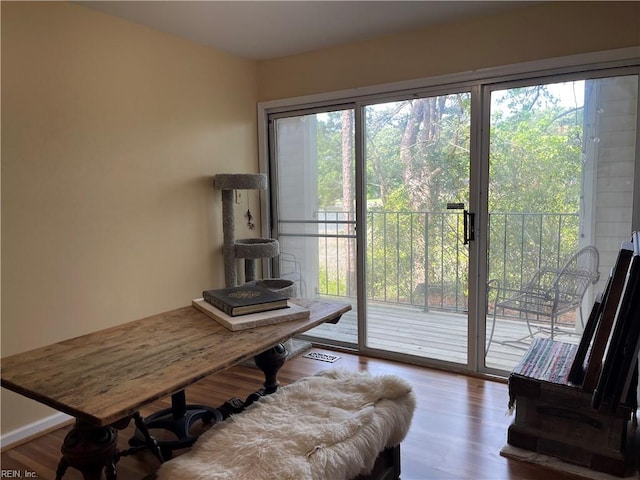 doorway featuring wood finished floors