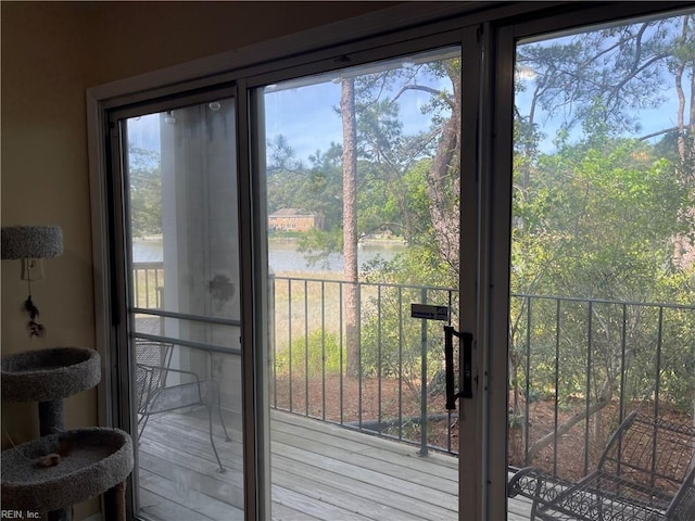 entryway featuring a water view and a wealth of natural light
