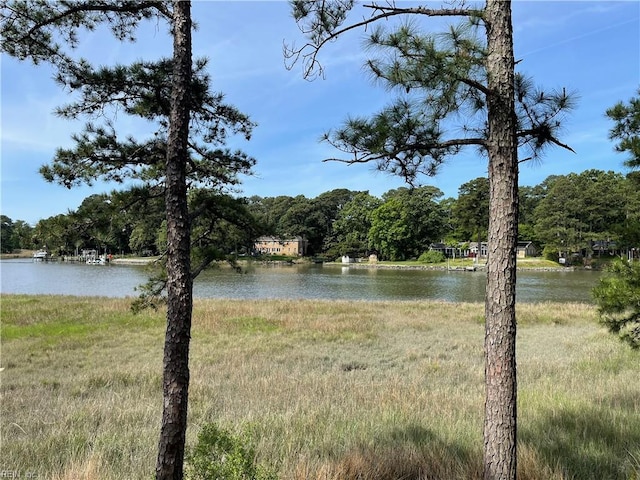 property view of water featuring a view of trees
