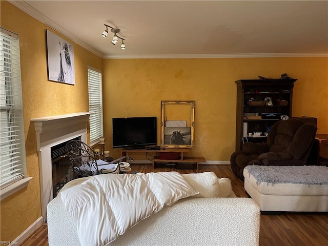 living room with crown molding, a wealth of natural light, wood finished floors, and a fireplace