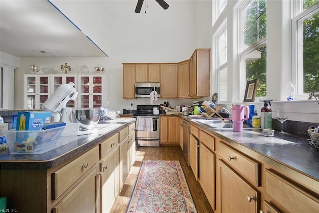 422 New London Pl, Virginia Beach, VA 23454 - kitchen featuring plenty of natural light, a sink, ceiling fan, and stainless steel appliances