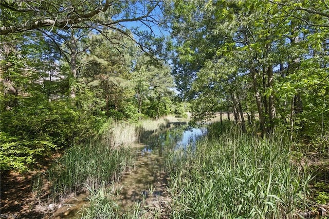 422 New London Pl, Virginia Beach, VA 23454 - property view of water