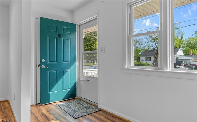 foyer with baseboards, wood finished floors, and a wealth of natural light