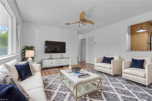 living area featuring a ceiling fan and wood finished floors