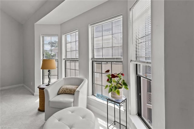 403 Harbour Pt Unit 305, Virginia Beach, VA 23451 - living area featuring carpet floors and baseboards