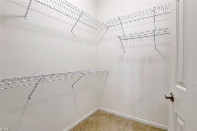 spacious closet with light carpet