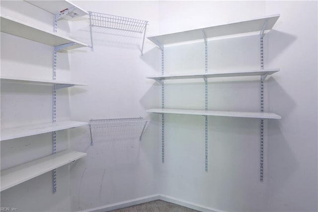 view of walk in closet