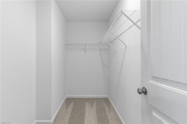 spacious closet featuring carpet floors