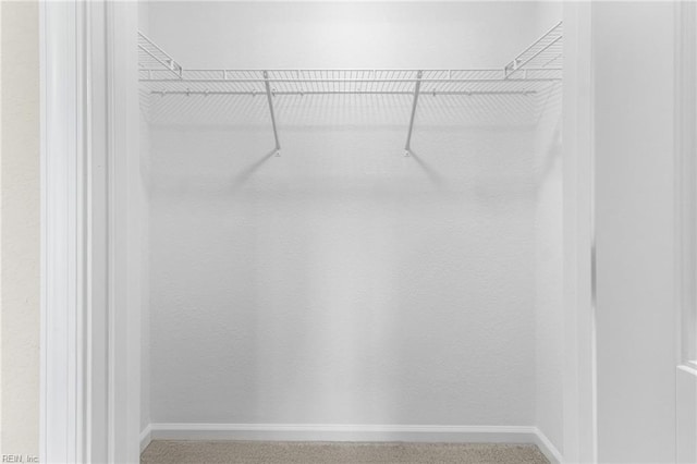 walk in closet featuring carpet flooring