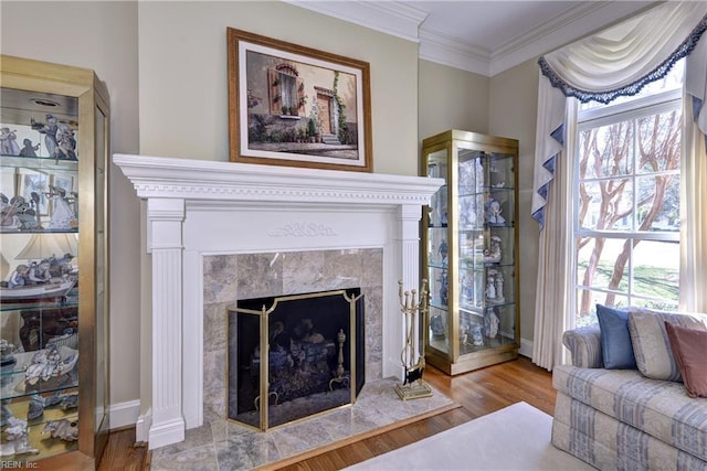 interior space with plenty of natural light, a fireplace, ornamental molding, and wood finished floors
