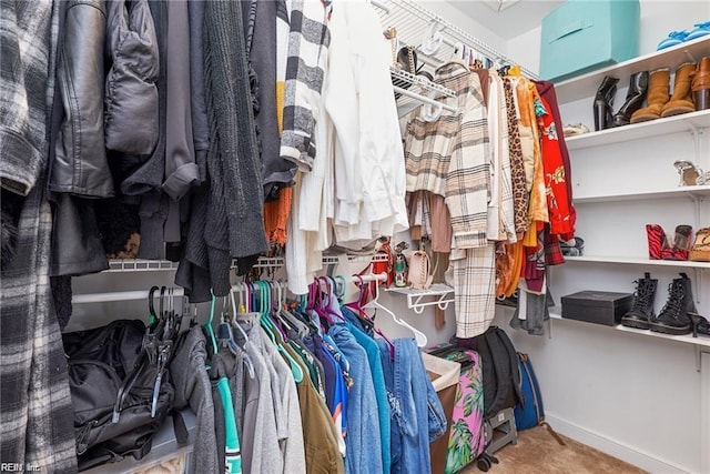 walk in closet featuring carpet floors