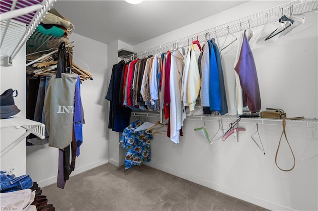 walk in closet with carpet