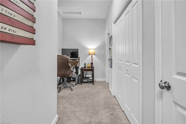 office area featuring baseboards, a textured wall, carpet flooring, and attic access