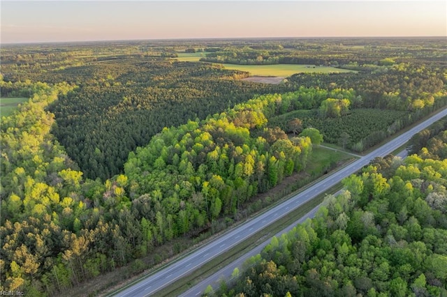 13AC Southampton Pkwy, Drewryville, VA 23844