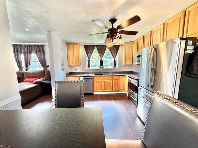 kitchen with dark wood-type flooring, a sink, a ceiling fan, and stainless steel appliances