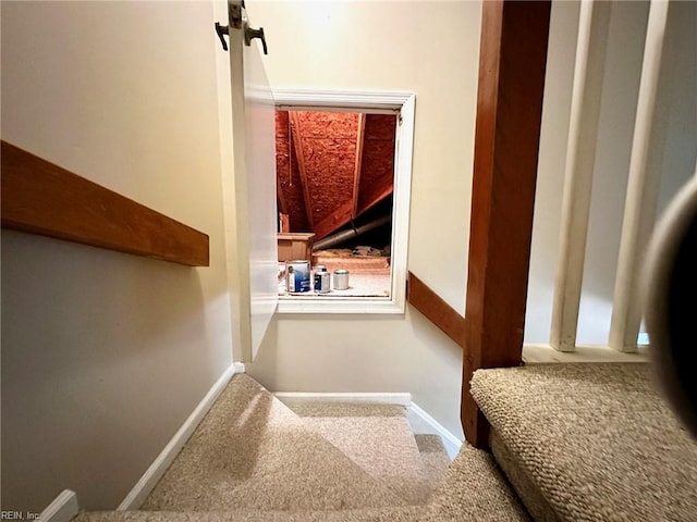 stairs featuring baseboards and carpet