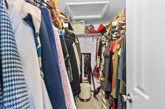 walk in closet with carpet and attic access