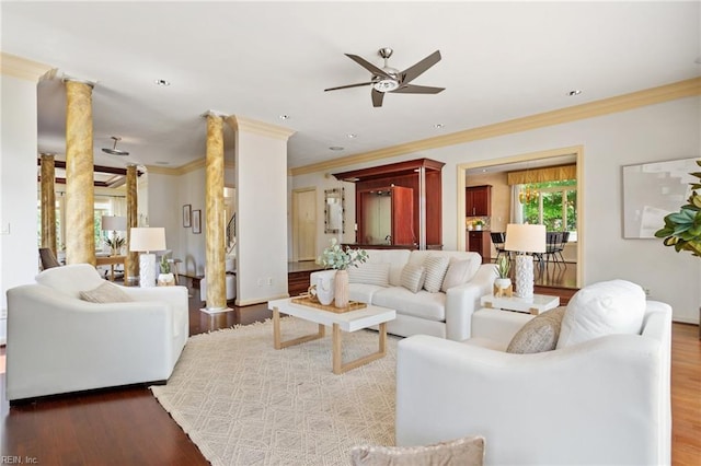 living room with crown molding, a ceiling fan, and wood finished floors