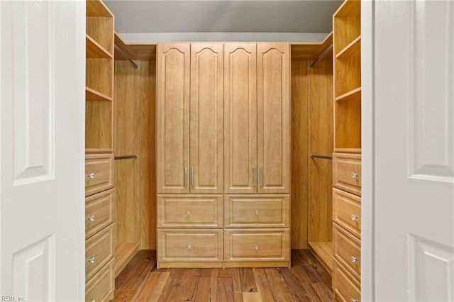 spacious closet with dark wood-style floors