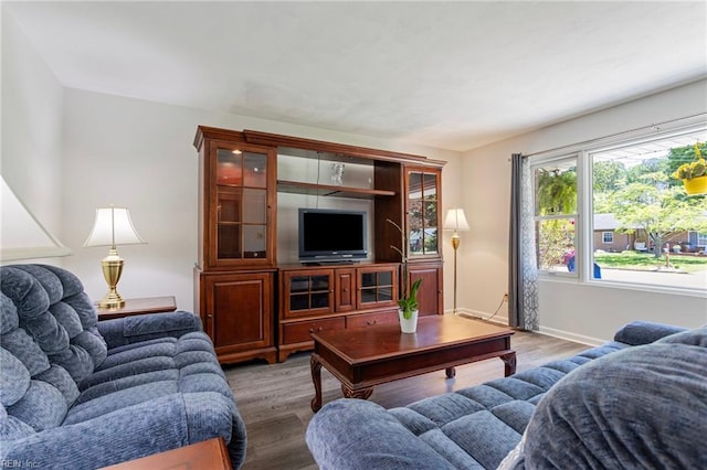 living room with baseboards and wood finished floors